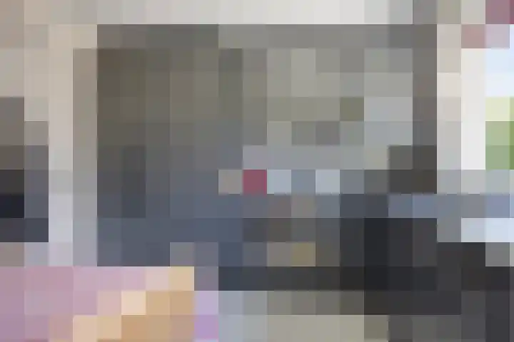 Schapendijkje 3 Franeker thumbnail 16