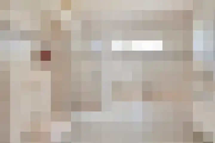 Schapendijkje 3 Franeker thumbnail 20