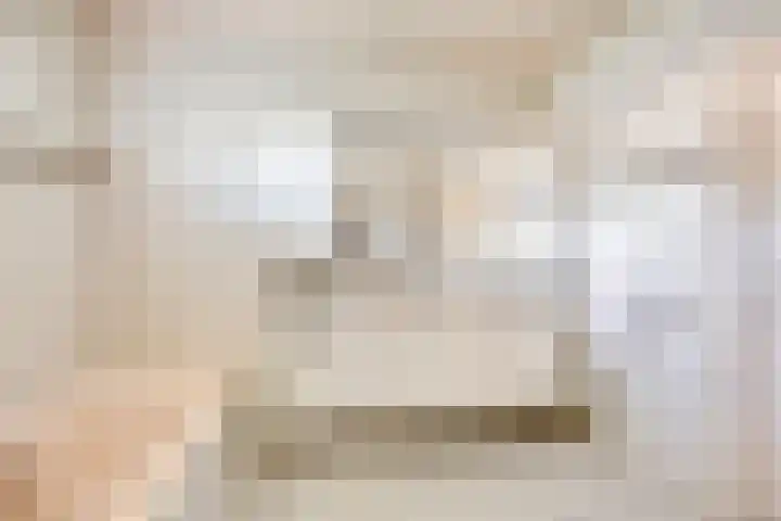 Schapendijkje 3 Franeker thumbnail 21