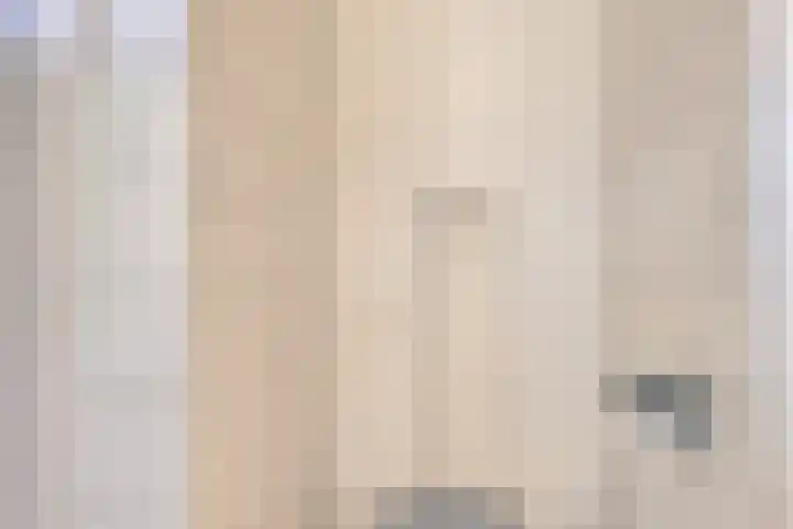 Schapendijkje 3 Franeker thumbnail 22