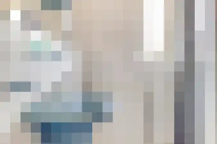 Schapendijkje 3 Franeker thumbnail 23
