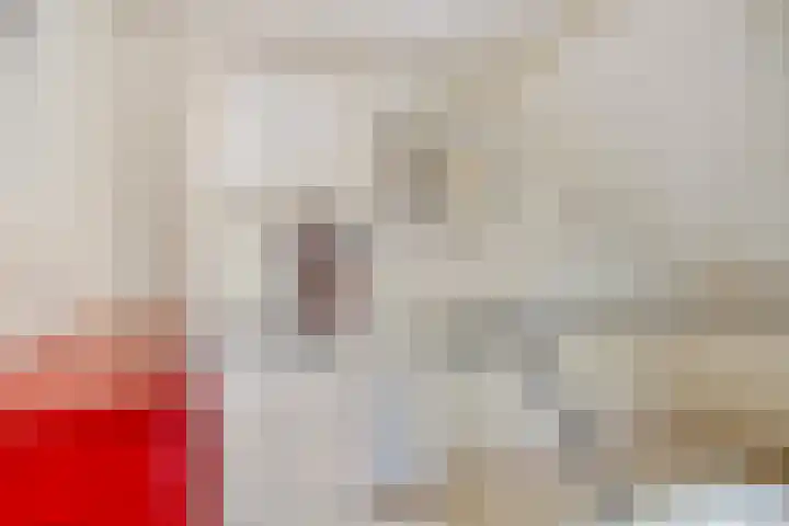 Schapendijkje 3 Franeker thumbnail 24