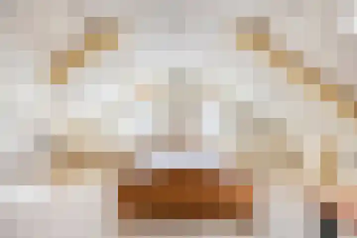 Schapendijkje 3 Franeker thumbnail 25