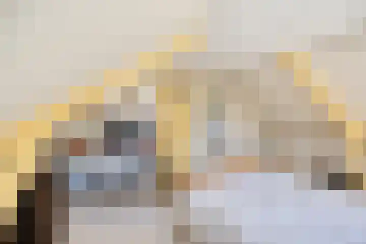 Schapendijkje 3 Franeker thumbnail 26