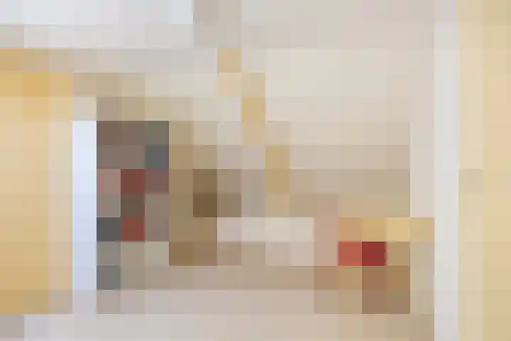 Schapendijkje 3 Franeker thumbnail 27