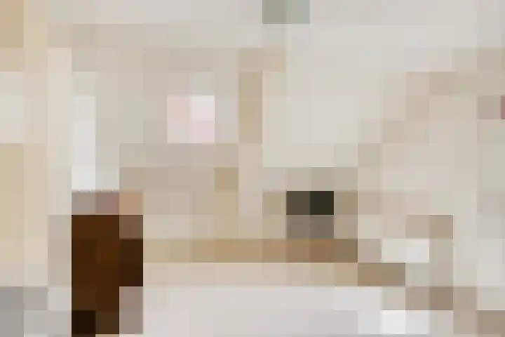 Schapendijkje 3 Franeker thumbnail 29