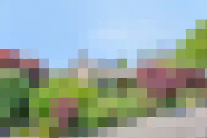 Schapendijkje 3 Franeker foto 3