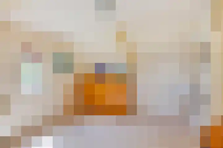Schapendijkje 3 Franeker thumbnail 30