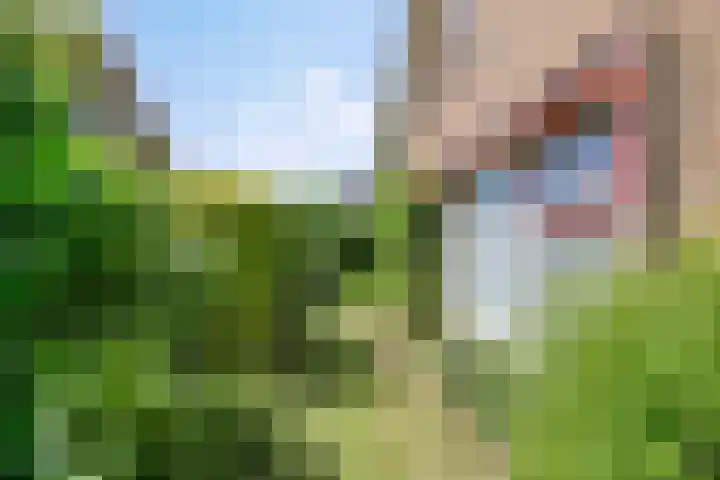Schapendijkje 3 Franeker thumbnail 31