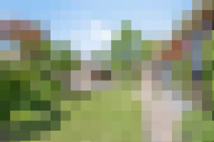 Schapendijkje 3 Franeker thumbnail 32