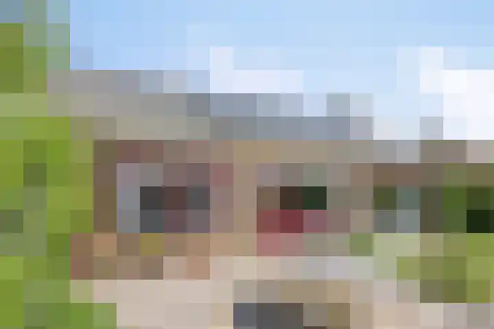 Schapendijkje 3 Franeker thumbnail 33