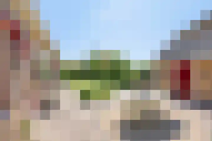 Schapendijkje 3 Franeker thumbnail 34