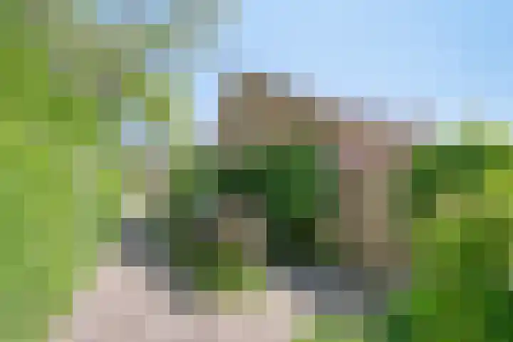 Schapendijkje 3 Franeker thumbnail 37