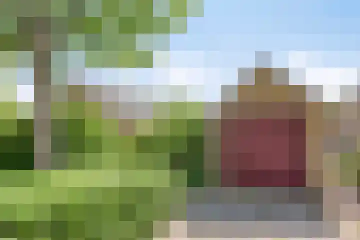 Schapendijkje 3 Franeker thumbnail 38