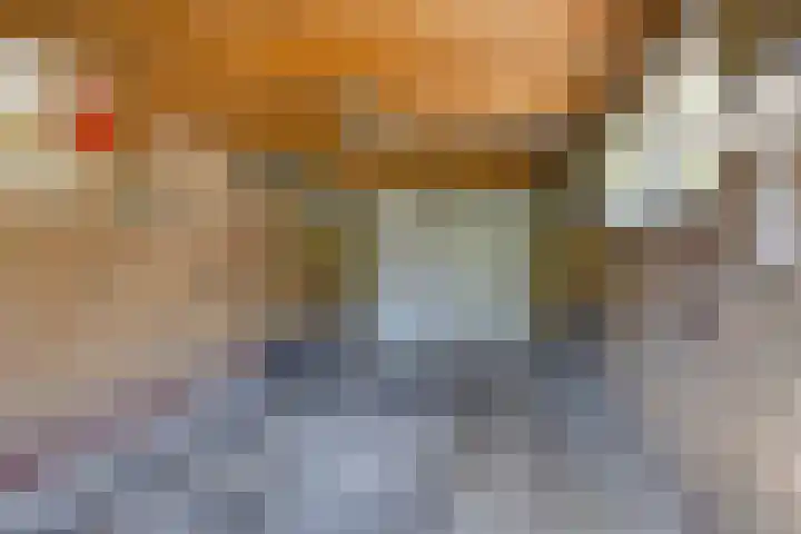 Schapendijkje 3 Franeker thumbnail 39