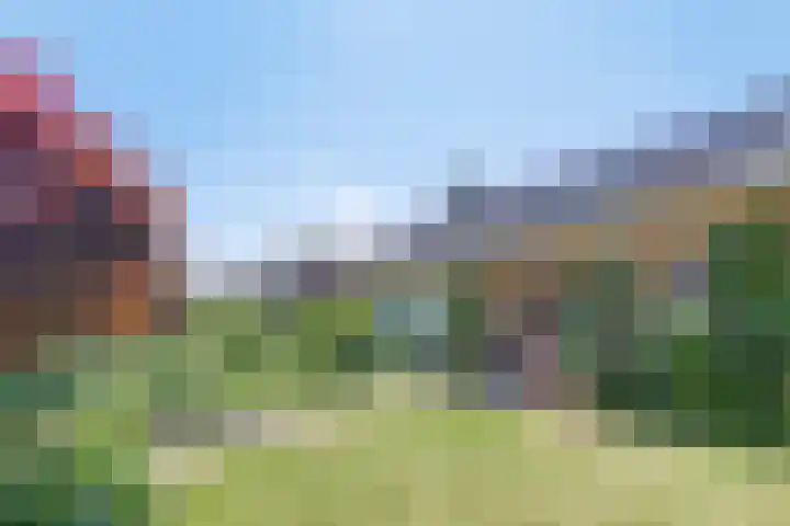 Schapendijkje 3 Franeker thumbnail 4