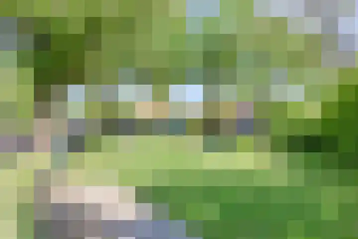 Schapendijkje 3 Franeker thumbnail 40