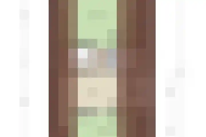Schapendijkje 3 Franeker thumbnail 42