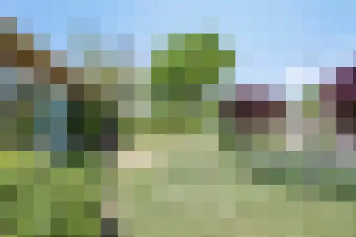 Schapendijkje 3 Franeker thumbnail 6