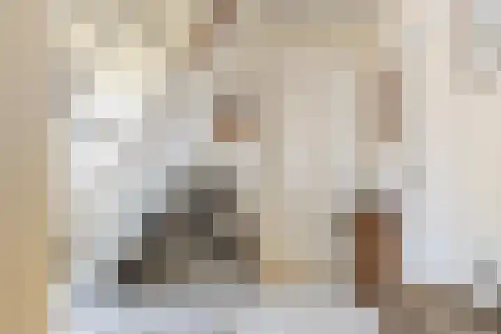 Schapendijkje 3 Franeker thumbnail 8
