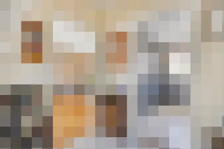 Schapendijkje 3 Franeker thumbnail 9