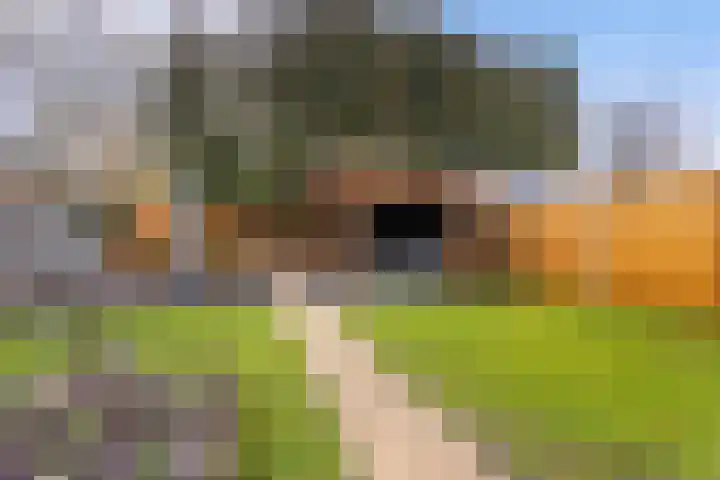 Schapendoesweg 40 Apeldoorn thumbnail 19