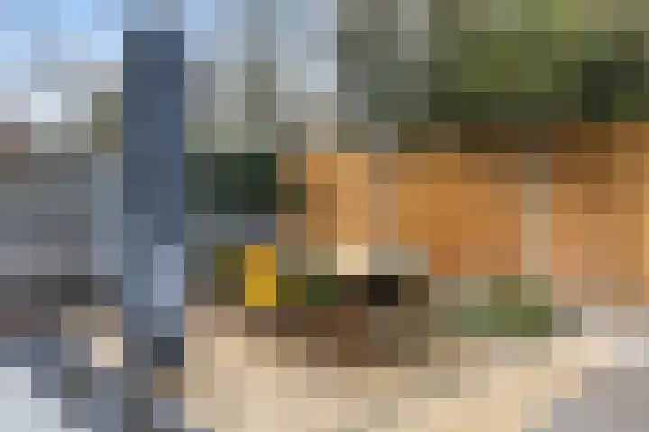 Schapendoesweg 40 Apeldoorn thumbnail 20