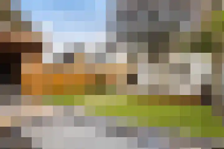 Schapendoesweg 40 Apeldoorn thumbnail 21