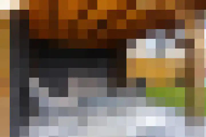 Schapendoesweg 40 Apeldoorn thumbnail 4