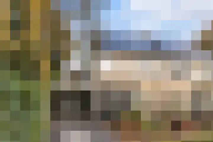 Schapendoesweg 40 Apeldoorn thumbnail 5