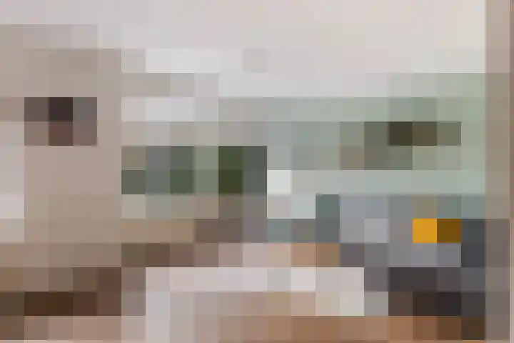 Schapendoesweg 40 Apeldoorn thumbnail 8