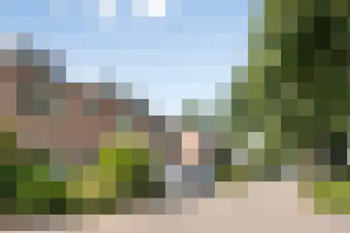 Schapendoesweg 59 Apeldoorn thumbnail 38