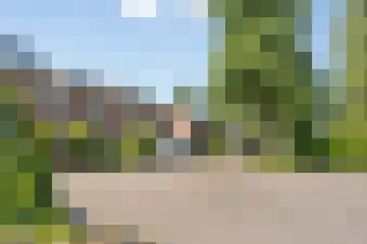 Schapendoesweg 59 Apeldoorn thumbnail 39