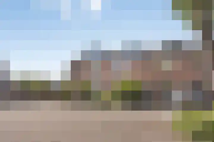 Schapendoesweg 59 Apeldoorn thumbnail 4