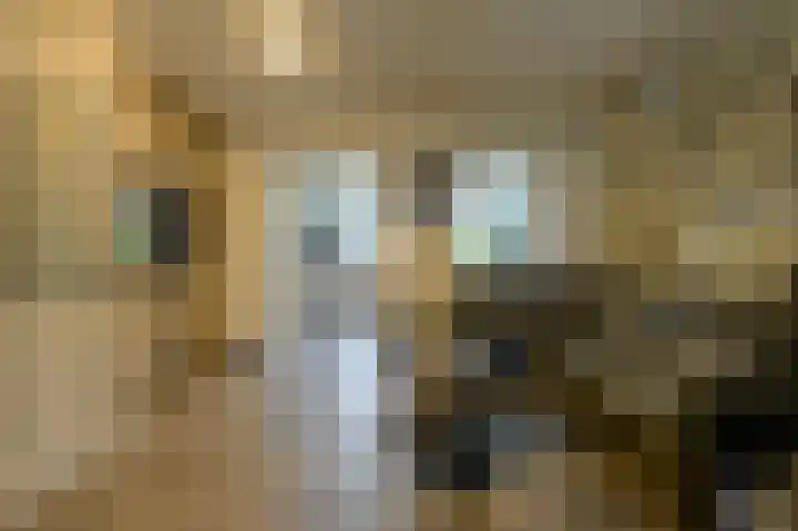 Schapendonk 62 Raamsdonksveer thumbnail 10