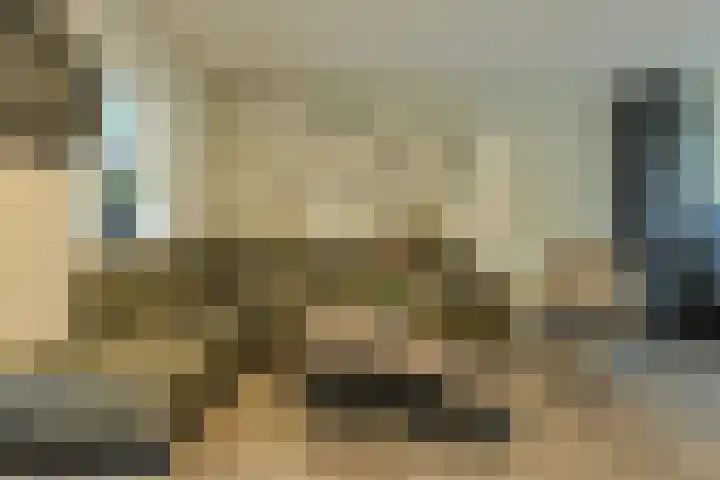 Schapendonk 62 Raamsdonksveer thumbnail 12