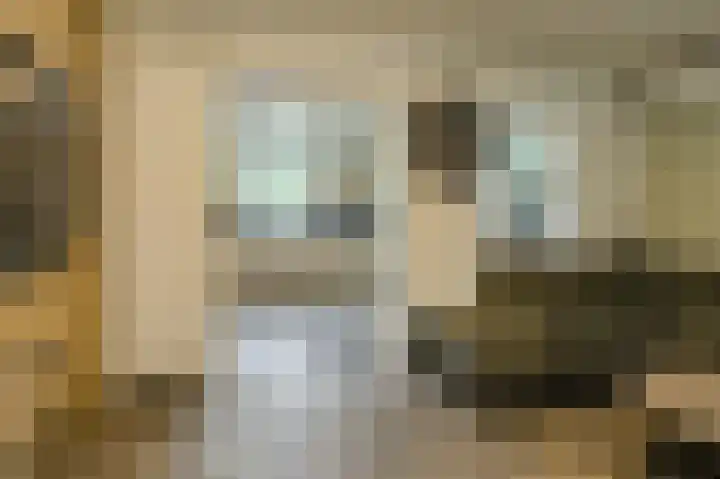Schapendonk 62 Raamsdonksveer thumbnail 13