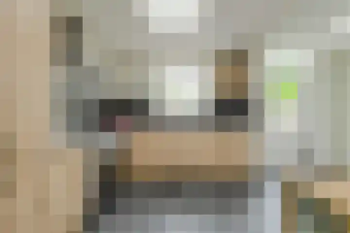Schapendonk 62 Raamsdonksveer thumbnail 14
