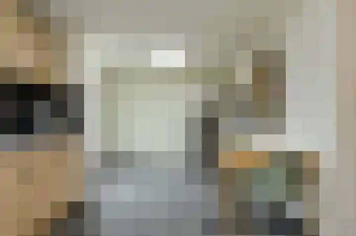 Schapendonk 62 Raamsdonksveer thumbnail 15