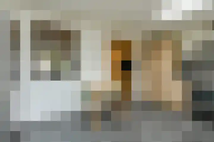 Schapendonk 62 Raamsdonksveer thumbnail 17