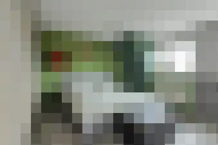 Schapendonk 62 Raamsdonksveer thumbnail 19