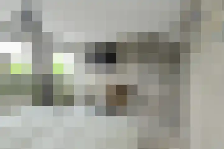 Schapendonk 62 Raamsdonksveer thumbnail 20