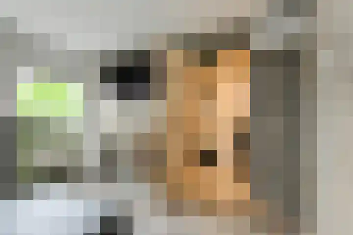 Schapendonk 62 Raamsdonksveer thumbnail 21