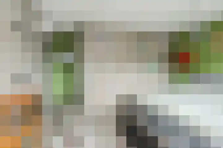 Schapendonk 62 Raamsdonksveer thumbnail 22