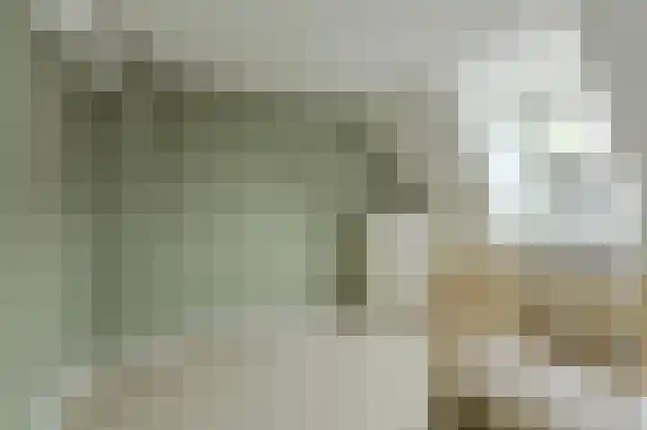 Schapendonk 62 Raamsdonksveer thumbnail 23
