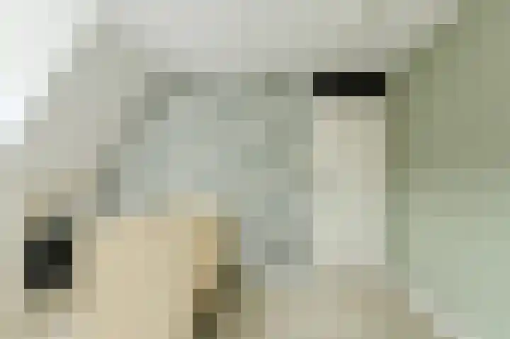 Schapendonk 62 Raamsdonksveer thumbnail 25