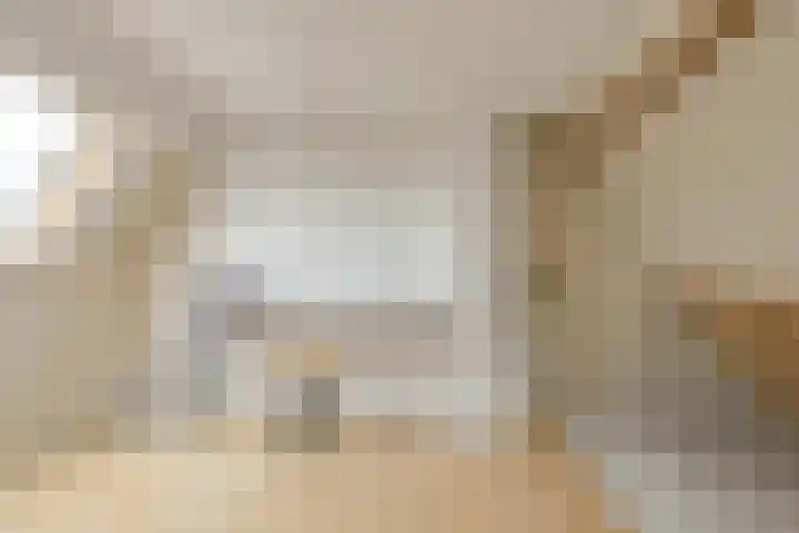 Schapendonk 62 Raamsdonksveer thumbnail 30