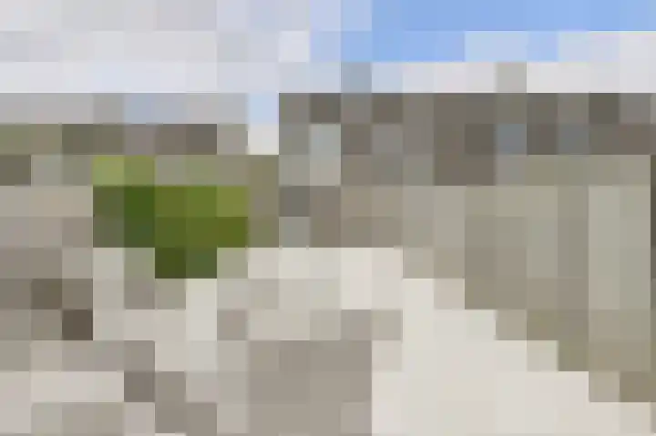 Schapendonk 62 Raamsdonksveer thumbnail 34