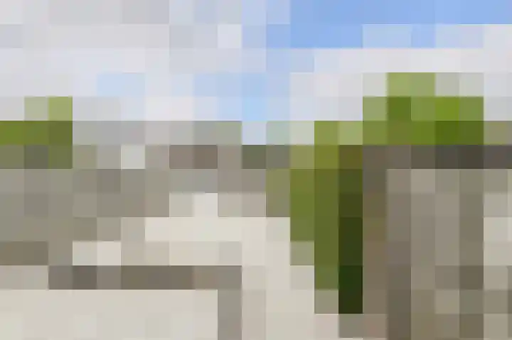Schapendonk 62 Raamsdonksveer thumbnail 35