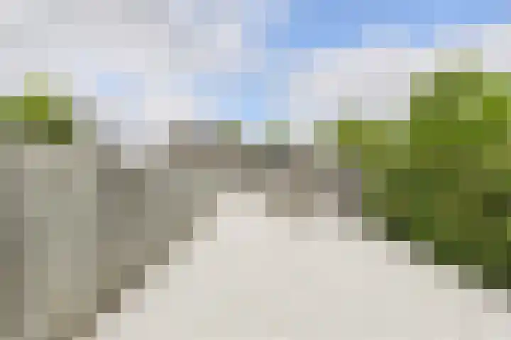Schapendonk 62 Raamsdonksveer thumbnail 36